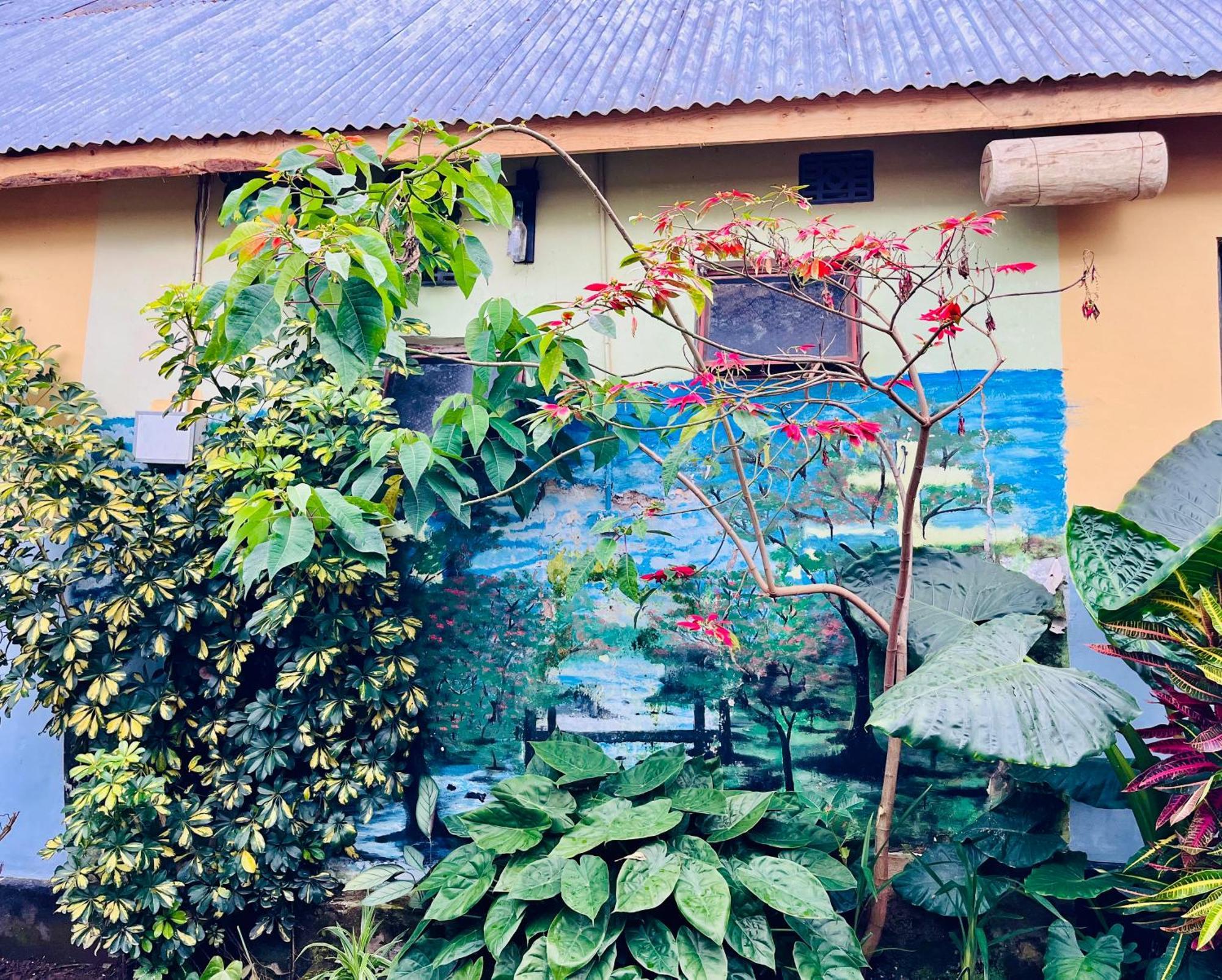 Arusha Jua Eco Home- On Coffee Farm Exterior photo
