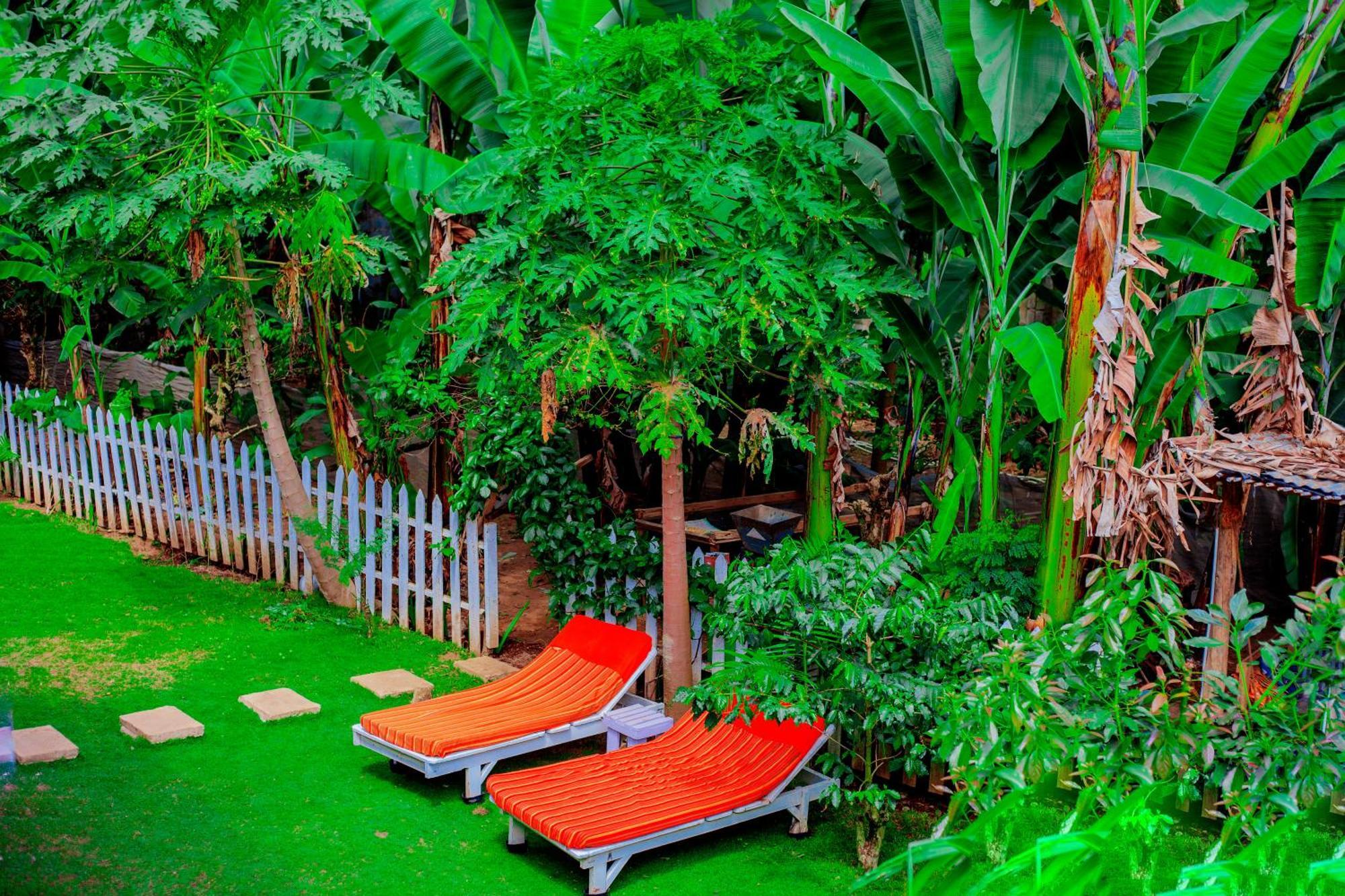 Arusha Jua Eco Home- On Coffee Farm Exterior photo
